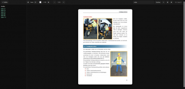 Preview: Gabelstapler - Ausbildung, Prüfung und Einsatz - Web-Book