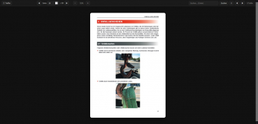 Preview: Ladekran - Ausbildung und Prüfung - Web-Book